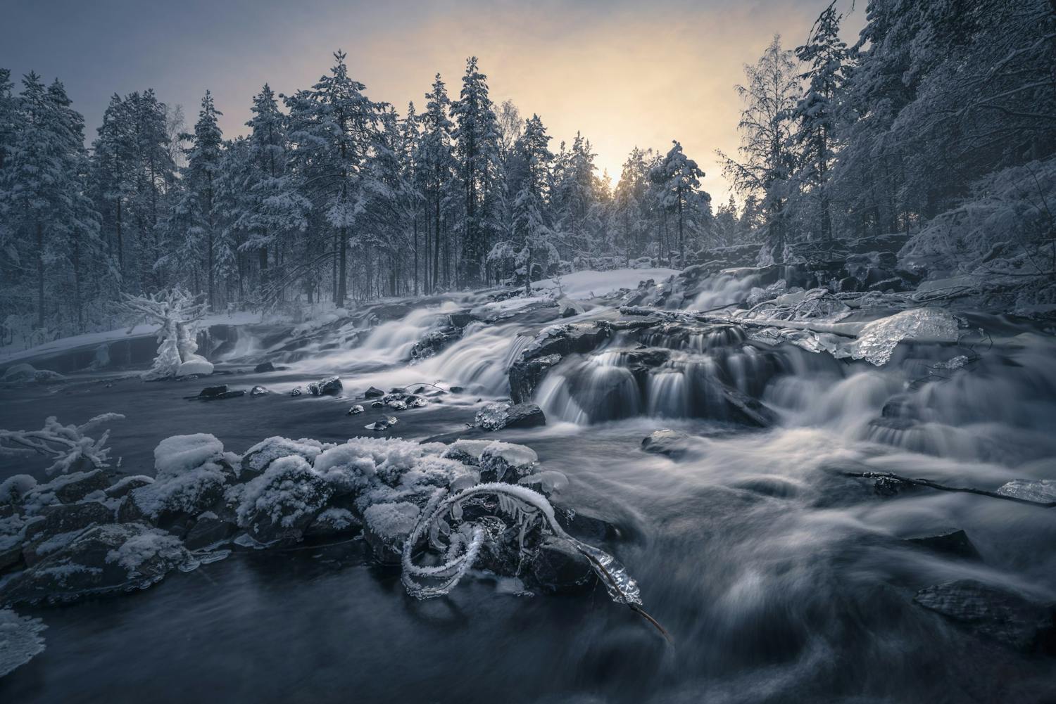 Is på vand i skov